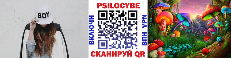 Купить  Губкинский  Псилоцибиновые грибы GOLDEN TEACHER 
