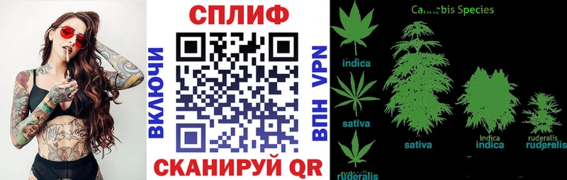 Бошки марихуана семена  Купить закладки  Губкинский 